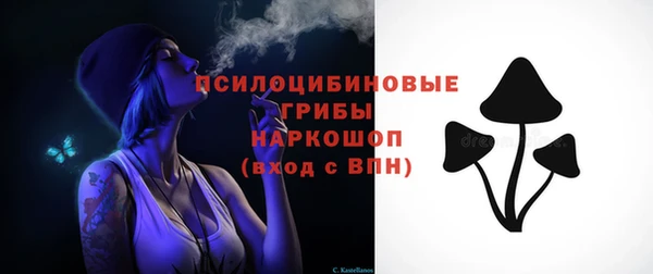мескалин Медвежьегорск