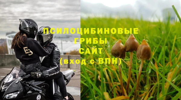 каннабис Магас