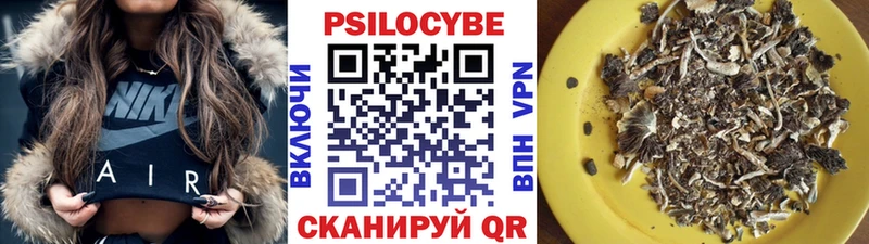 Купить  Ярцево  Псилоцибиновые грибы мицелий 